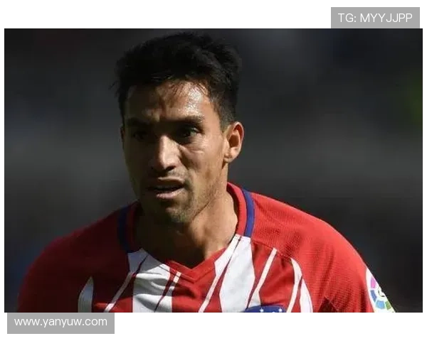 盖坦谈马竞经历:全力以赴但原因难解 盖坦谈马竞经历:全力以赴但原因难解